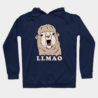 Llmao Hoodie